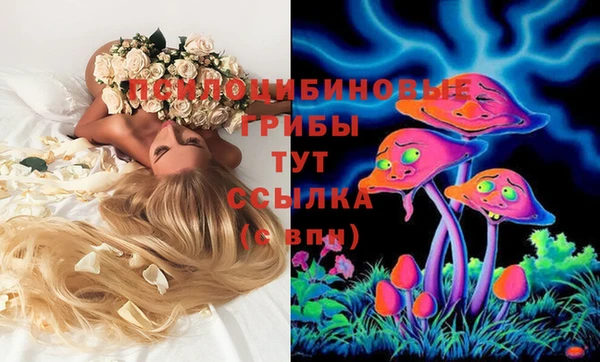 трава Арсеньев