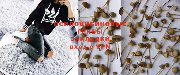 шишки Армянск